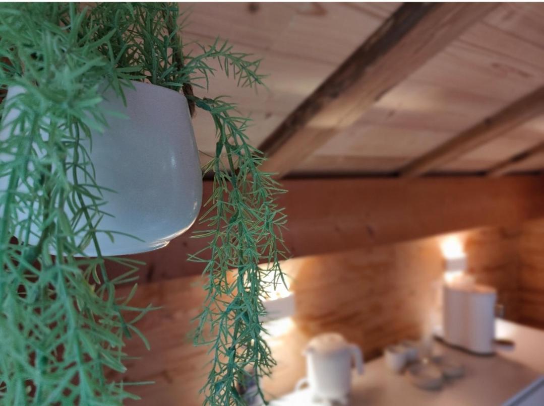 Entremont Chambre Boille A Lait المظهر الخارجي الصورة