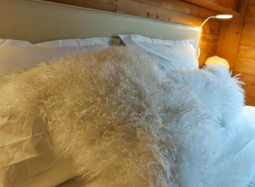Entremont Chambre Boille A Lait المظهر الخارجي الصورة